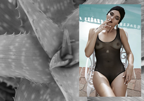 POOL1.png